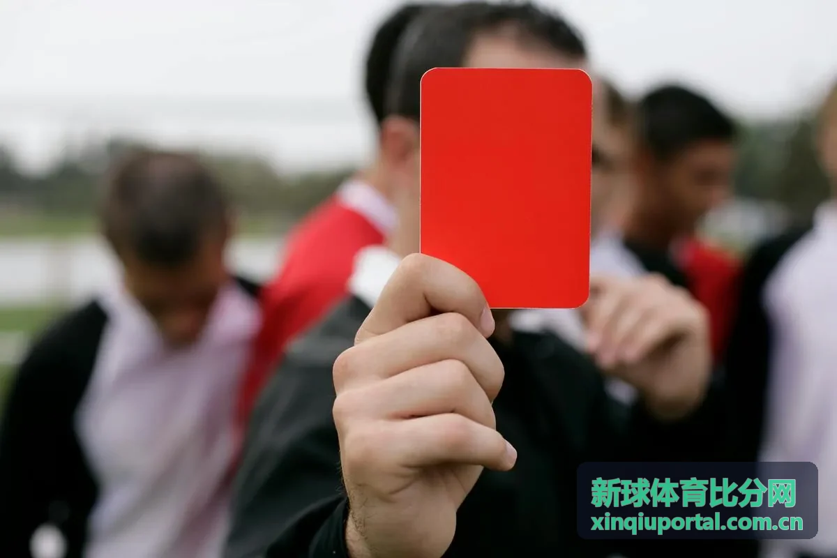 新球体育比分网广东宏远数据